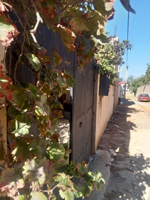 Vente Villa Alger Saoula