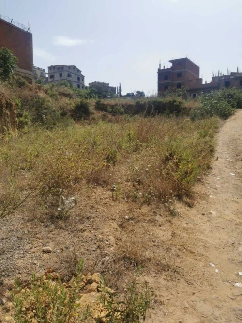 Vente Terrain Alger Saoula