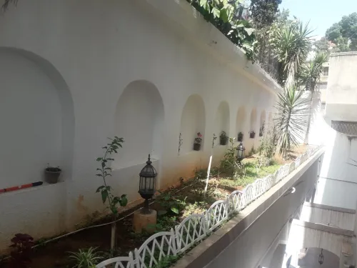 Vente Alger Hydra
