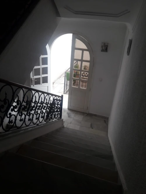 Vente Alger Hydra