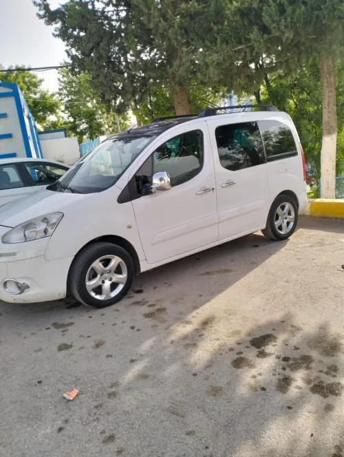 Peugeot Partner 2014 Tepee