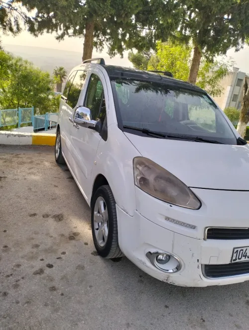 Peugeot Partner 2014 Tepee