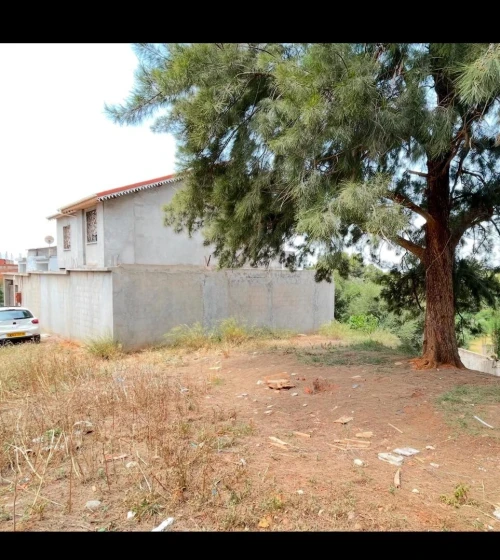 Vente Villa Alger Douera