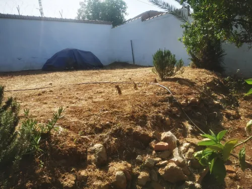 Vente Terrain Tipaza Khemisti
