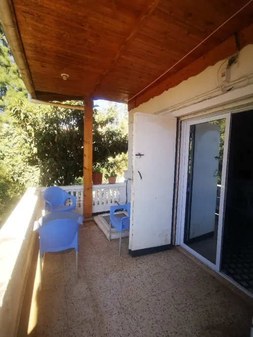 Vente Terrain Tipaza Bou ismail