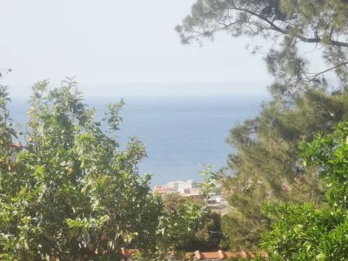 Vente Terrain Tipaza Khemisti