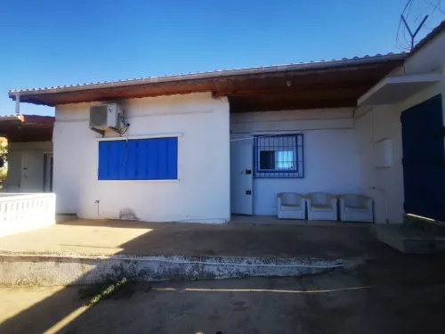 Vente Terrain Tipaza Bou ismail