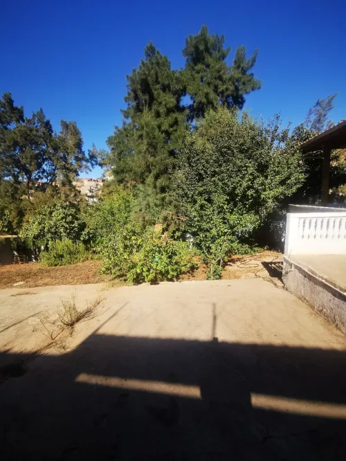 Vente Terrain Tipaza Bou ismail