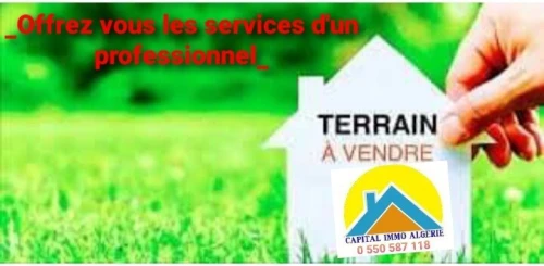 Vente Terrain Tizi Ouzou Azeffoun