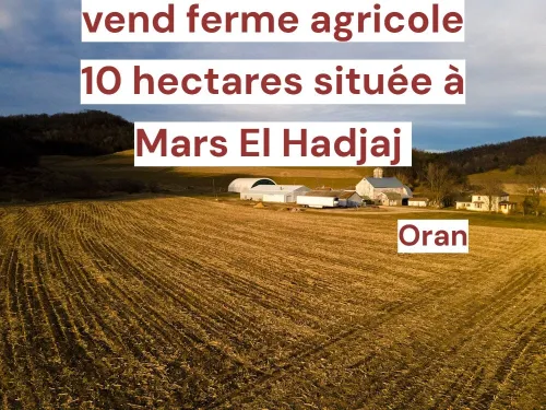 Vente Terrain Agricole Oran Marsat el hadjadj