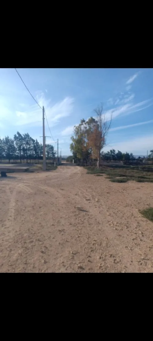 Vente Terrain Agricole Oran Gdyel