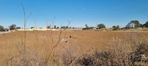 Vente Terrain Oran Tafraoui