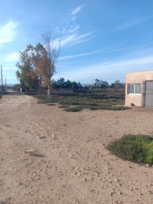 Vente Terrain Agricole Oran Gdyel