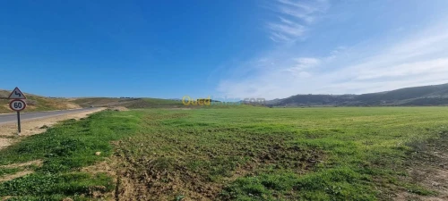 Vente Terrain Mostaganem Mostaganem