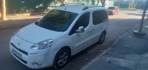 Peugeot Partner 2014 Tepee