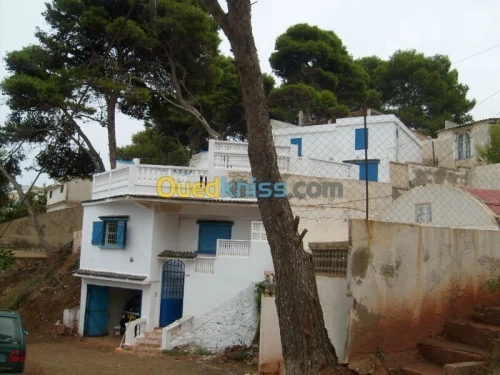 Vente Bungalow F6 Tipaza Tipaza