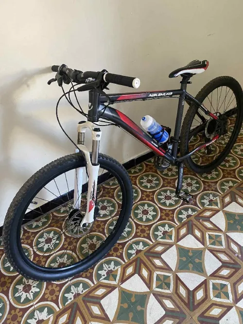 Vélo 