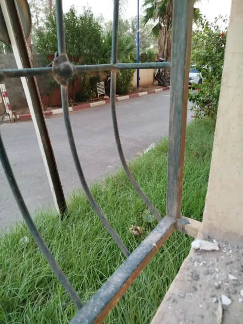 Vente Appartement F4 Alger Tessala el merdja