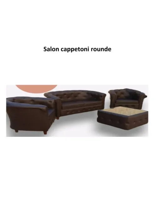 SALON EN SIMILI CUIR OU EN CUIR