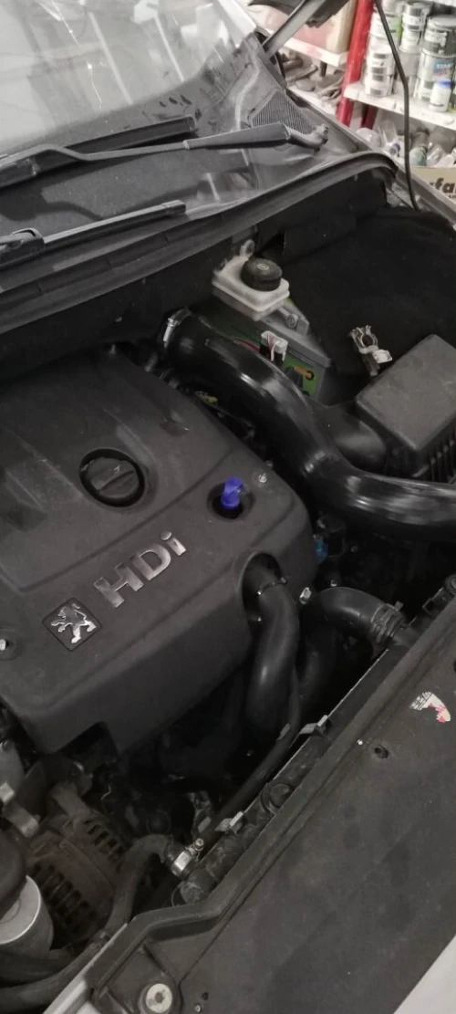 Peugeot 307 2002 307