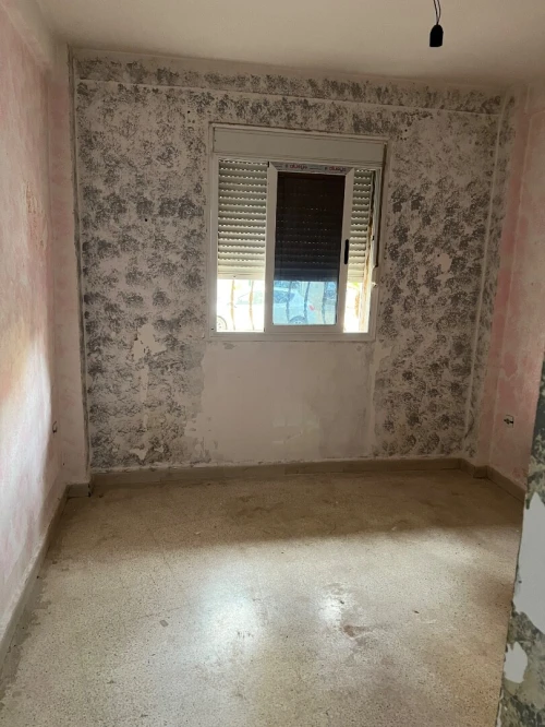 Location Appartement F3 Alger Saoula