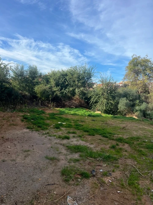 Vente Terrain Alger Saoula