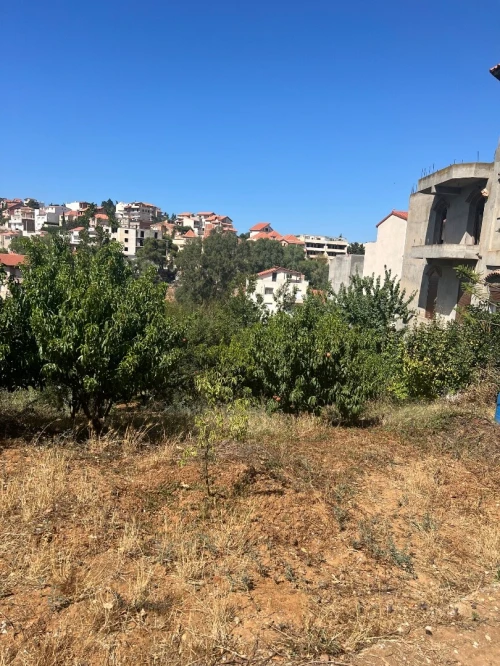 Vente Terrain Alger Saoula
