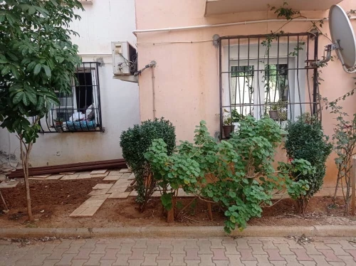 Vente Appartement F3 Alger Saoula