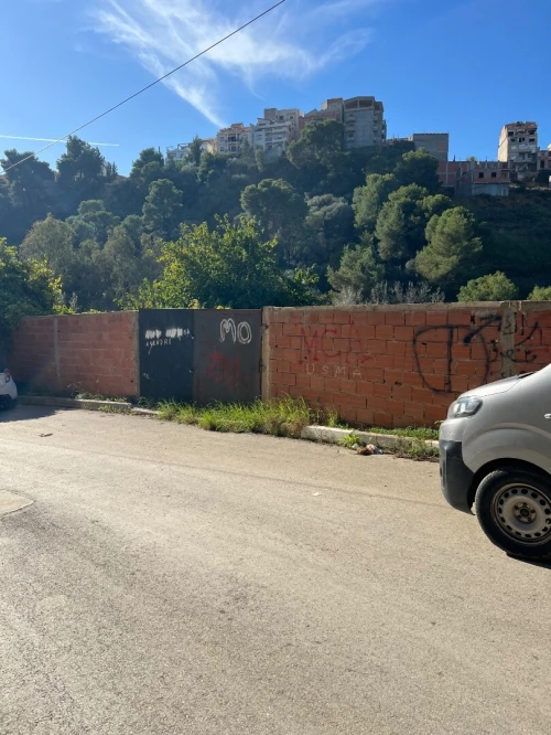 Vente Terrain Alger Saoula