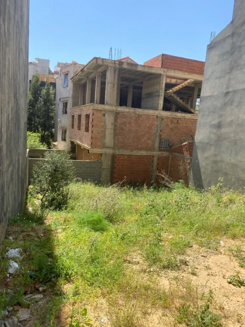 Vente Terrain Alger Saoula