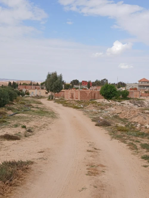Vente Terrain Tébessa Oum ali