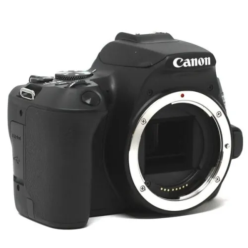  Canon EOS 250D DC EF-S 18-55mm III