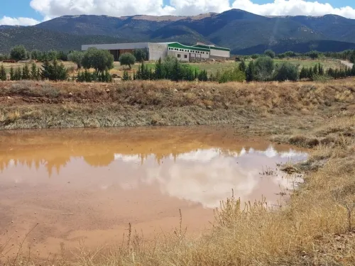 Vente Terrain Agricole Batna Batna