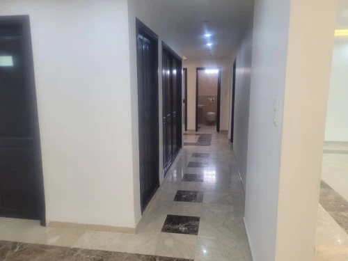 Location Appartement F4 Alger Dely brahim