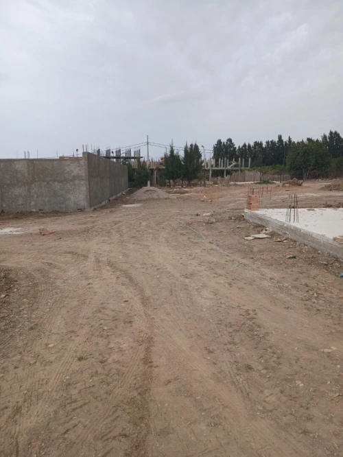 Vente Terrain Blida Bougara