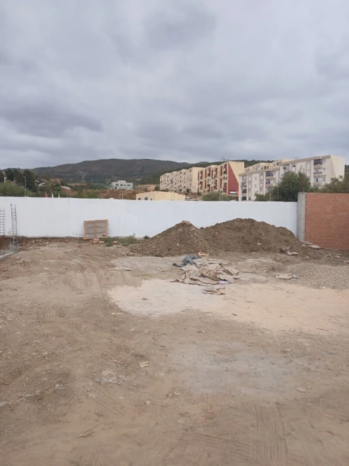 Vente Terrain Blida Bougara