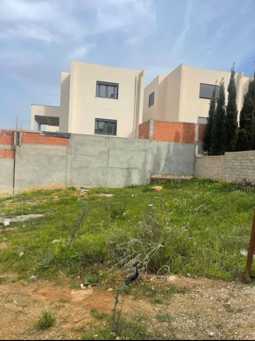 Vente Terrain Alger Ouled fayet