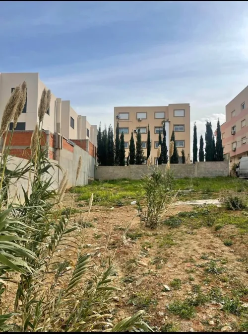 Vente Terrain Alger Ouled fayet