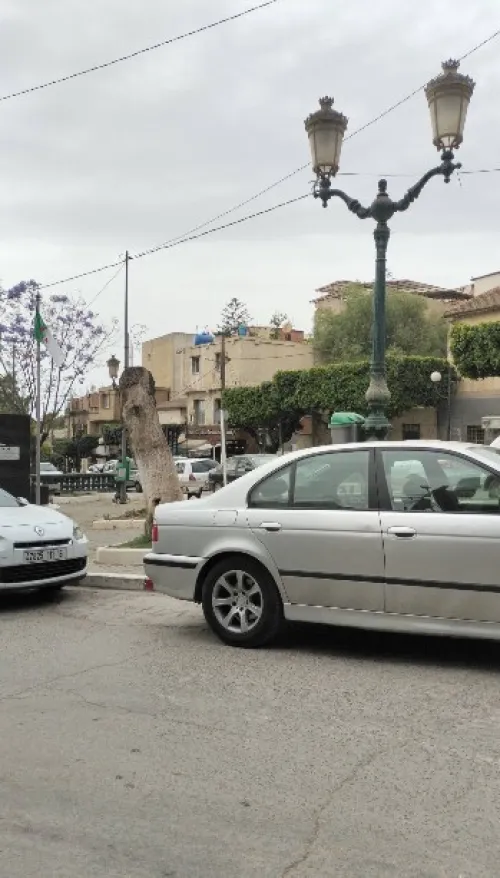 Vente Terrain Alger El achour