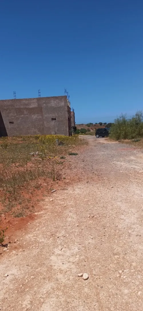 Vente Terrain Mostaganem Sidi lakhdaara