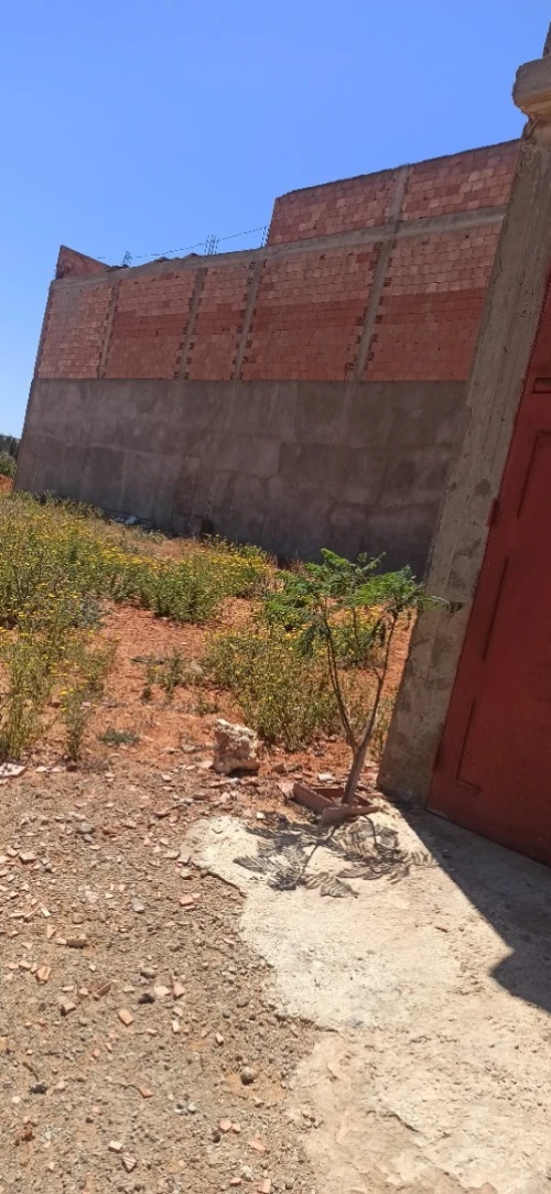 Vente Terrain Mostaganem Sidi lakhdaara