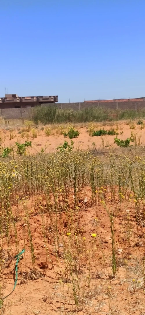 Vente Terrain Mostaganem Sidi lakhdaara