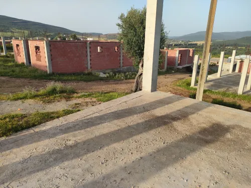 Vente Terrain Guelma Oued fragha