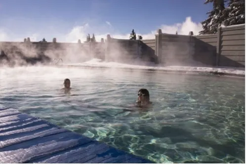 Échangeur tubulaire pour piscine en inox