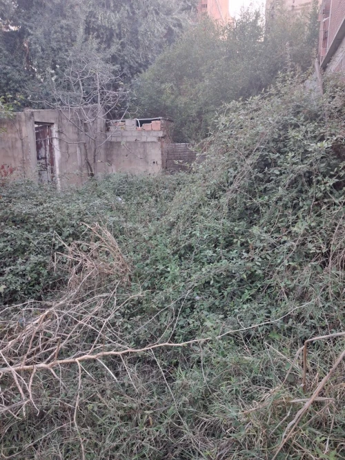 Vente Villa Alger Sidi moussa