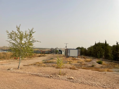 Vente Terrain Agricole Tlemcen Sidi abdelli