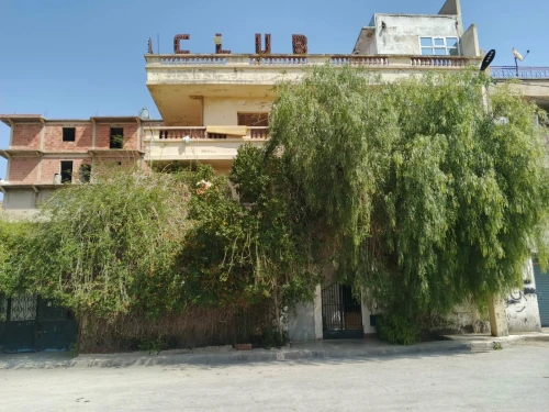 Vente Villa Constantine Ain smara