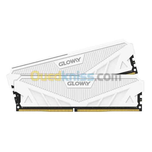 GLOWAY DDR5 32GB (16X2) 6000MHZ CL 38 WHITE