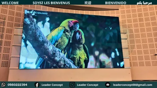 ÉCRANS GÉANTS LED POUR UNIVERSITÉS, ÉCOLES, AUDITORIUMS & CINÉMAS !