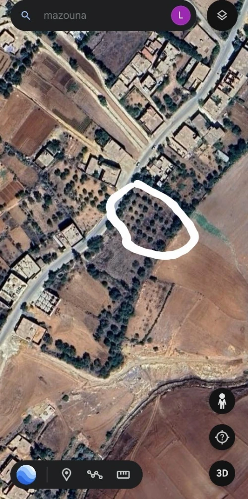Vente Terrain Chlef Ain merane